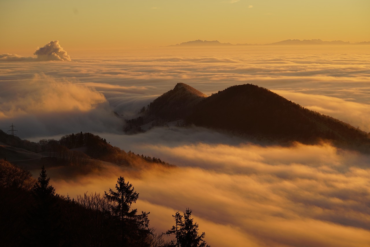 The Role of Cloud Computing in Military Intelligence